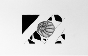 Jérémy Gobé - Corail Artefact, conquête variation 10