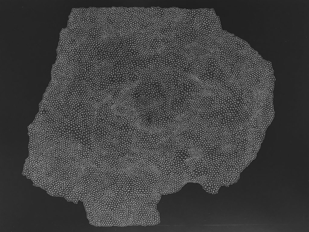 Marie-Julie Michel Synapses #1, 2015 Aiguille sur carte à gratter 31x 20 cm