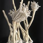 Marie-Julie Michel Aspergillus 2019 Porcelaine froide, fer, cuivre, laine, soie et acrylique 40 x 30 x 20 cm