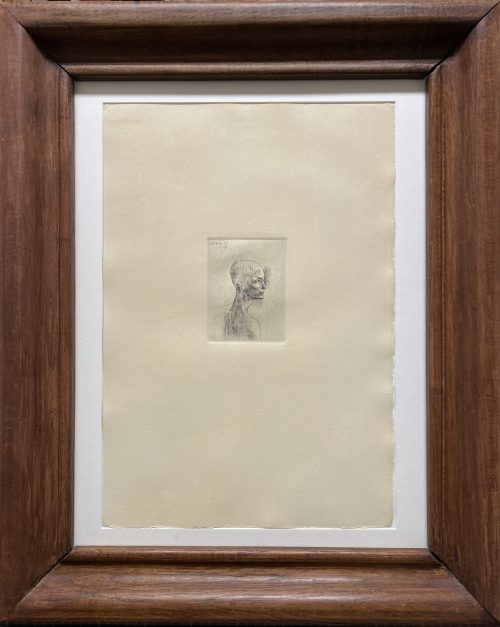 Buste d’homme, suite des Saltimbanques - Pablo Picasso